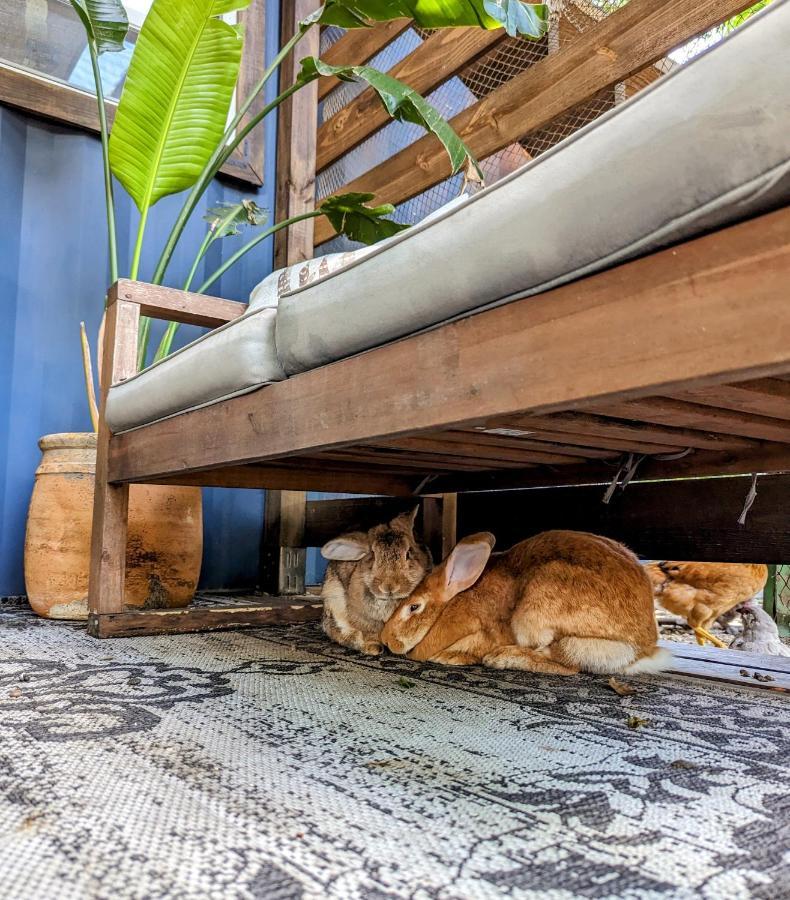 Cozy Af Tiny-House Oasis Βίλα Τάμπα Εξωτερικό φωτογραφία