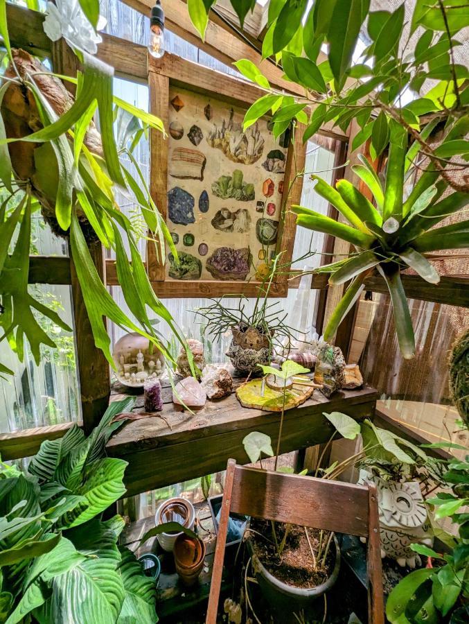 Cozy Af Tiny-House Oasis Βίλα Τάμπα Εξωτερικό φωτογραφία