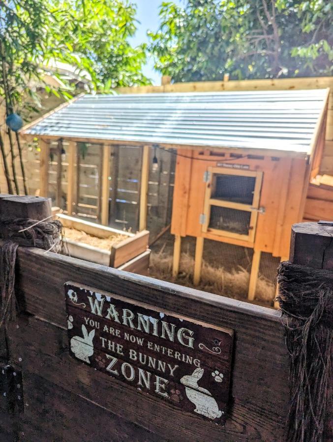 Cozy Af Tiny-House Oasis Βίλα Τάμπα Εξωτερικό φωτογραφία