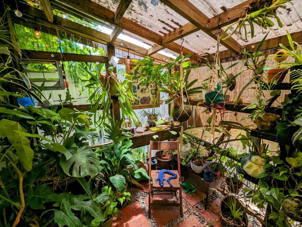 Cozy Af Tiny-House Oasis Βίλα Τάμπα Εξωτερικό φωτογραφία